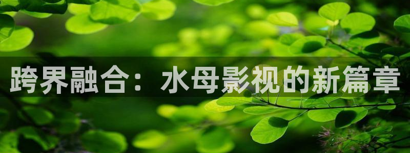 被窝影院在线观