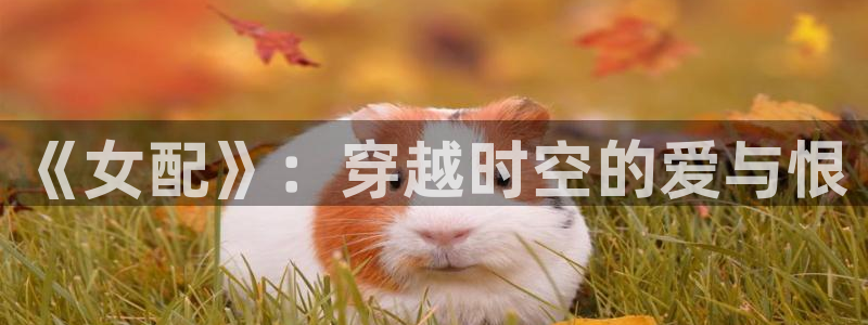 第九在线影院97精品被窝影院