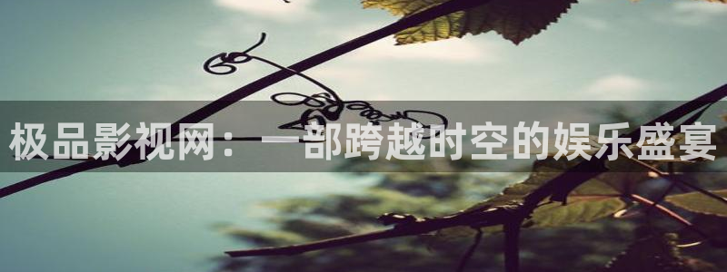 被窝影院香蕉在线播放差：极品影视网：一部跨越时空的娱乐盛宴