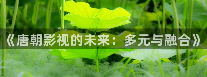 秋霞影院被窝影院在线播放：《唐朝影视的未来：多元与融合》